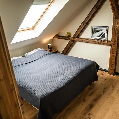 Rheinfreunde Bingen *