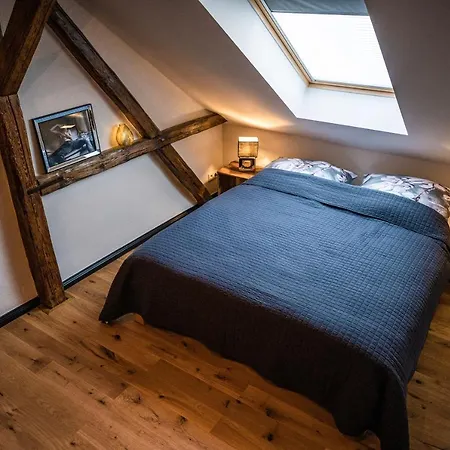 Rheinfreunde Bingen * בינגן אם ריין