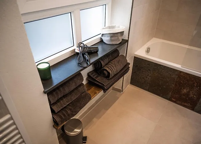 Rheinfreunde Bingen * Бинген-на-Рейне