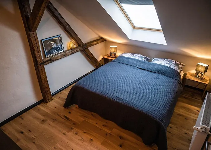 Rheinfreunde Bingen * ビンゲン・アム・ライン